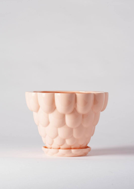 Jelly Pot, Peach (210mm pot size)
