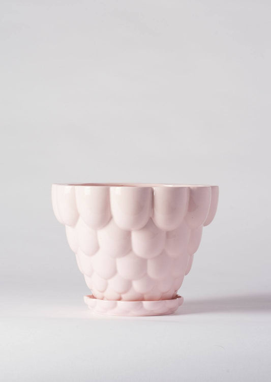Jelly Pot, Pink (210mm pot size)