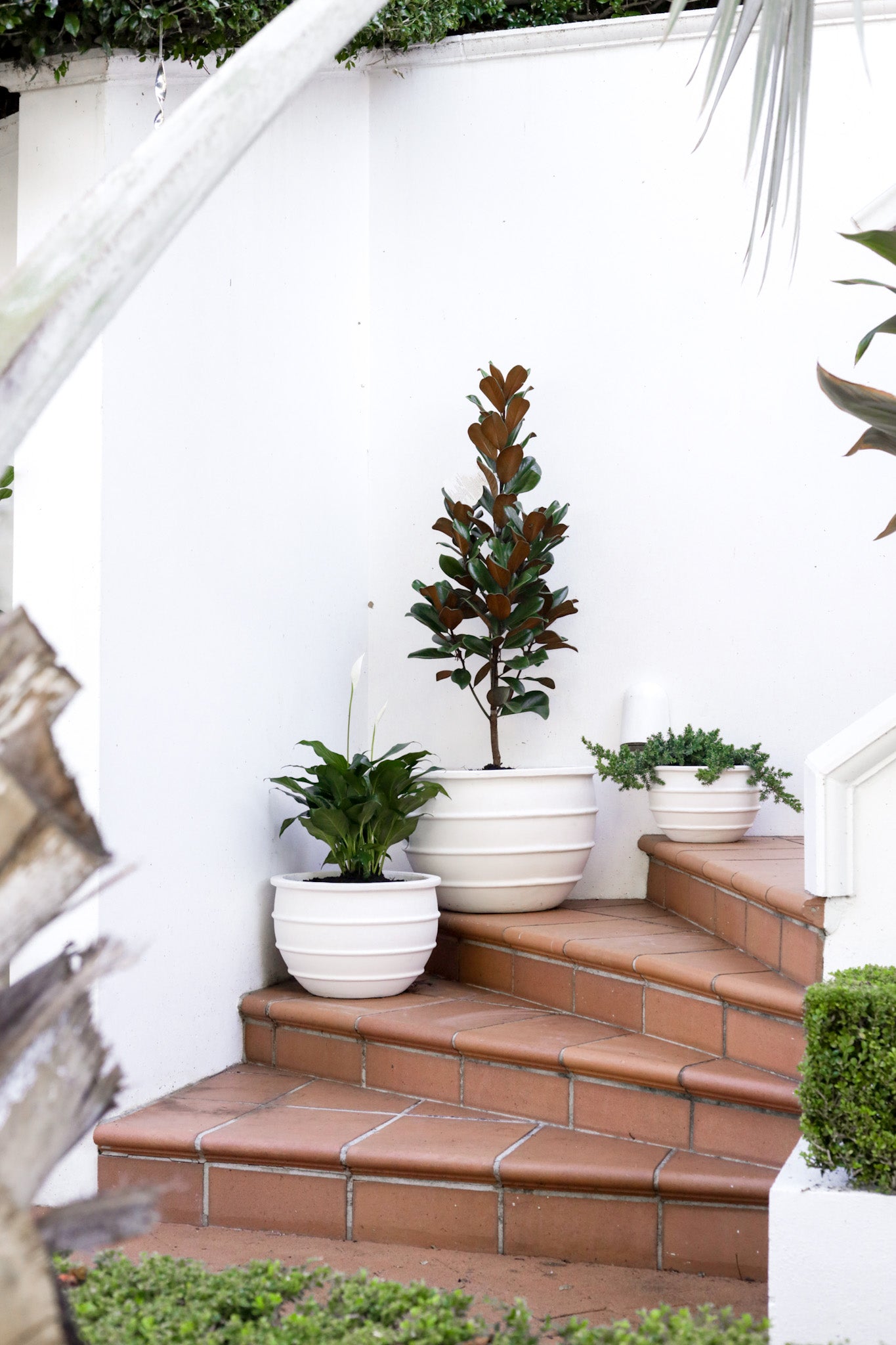 greek style plant pots Greek Pot – Little Fox Lane